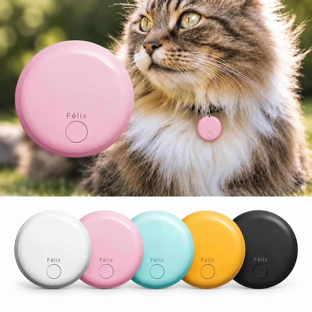 Félix – Traceur GPS Chat