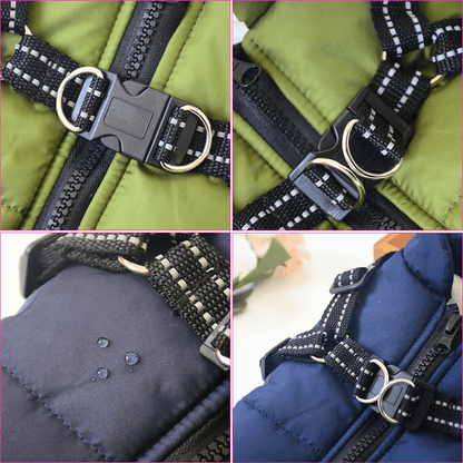 Manteau chien imperméable d'hiver avec harnais intégré