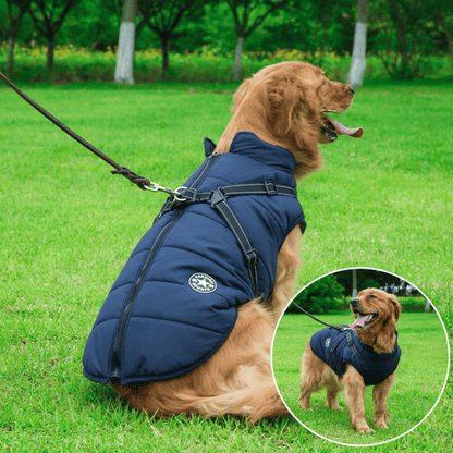 Manteau chien imperméable d'hiver avec harnais intégré