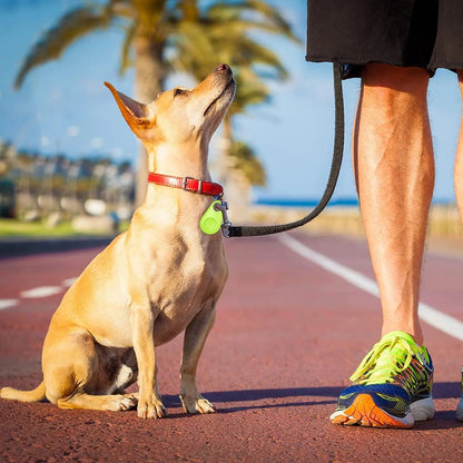 GPS Chien & Chiot - Havenridges - Localisation Précise