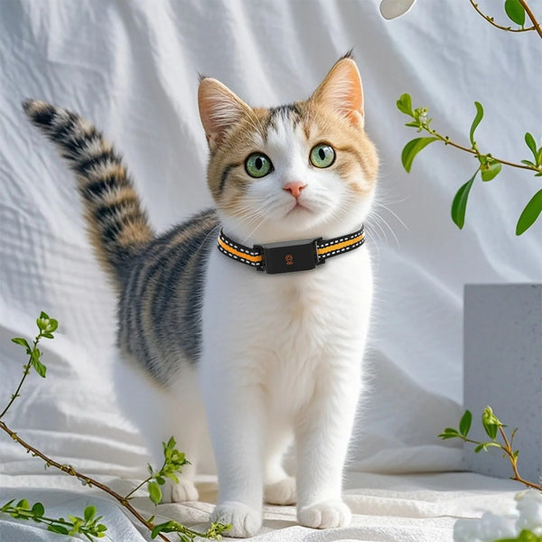 Collier GPS Chien Chat - Portée Illimitée, Suivi Précis