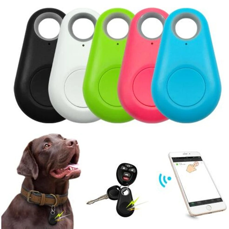 GPS Chien & Chiot - Havenridges - Localisation Précise