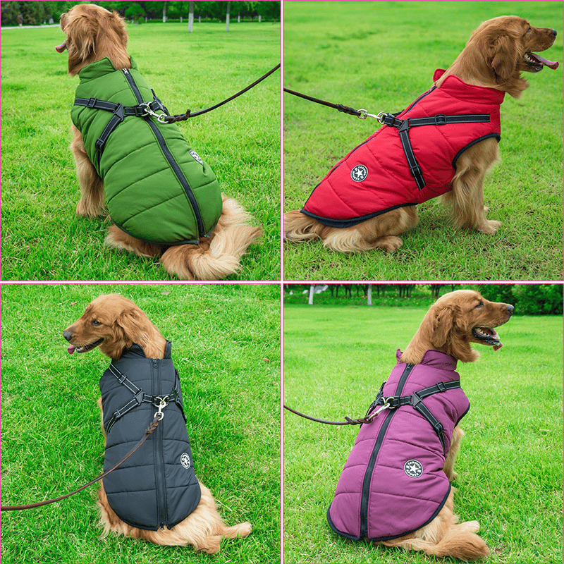 Manteau chien imperméable d'hiver avec harnais intégré