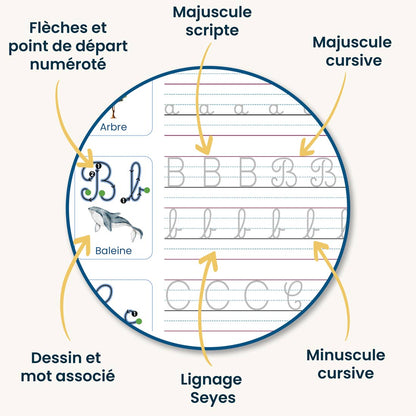 Caaly®   | Cahiers Magiques Cursifs