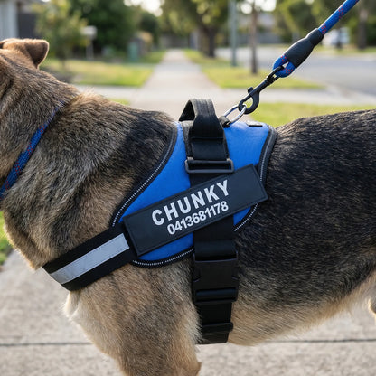 Harnais chien anti-traction personnalisé avec attache avant
