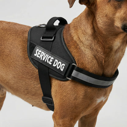 Harnais chien anti-traction personnalisé avec attache avant