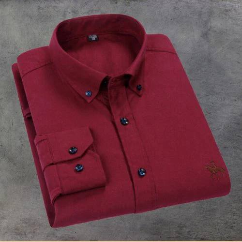 Chemise Classique Rayée - Élégante avec Broderie
