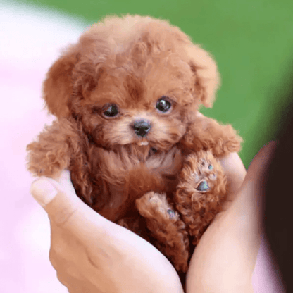 Chiot Interactif - Jouet Intelligent pour Enfants