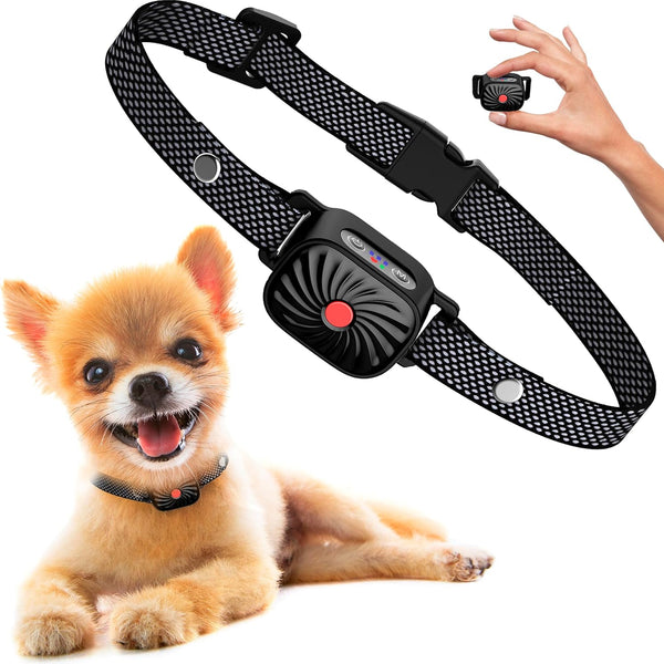 Collier Anti-Aboiement - PetSilence - Solution Douce pour Chien