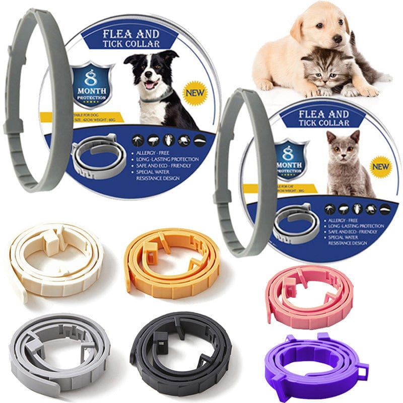 Collier Anti-Puces Naturel - Protection Durable Animaux