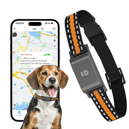 Collier GPS Chien Chat - Portée Illimitée, Suivi Précis