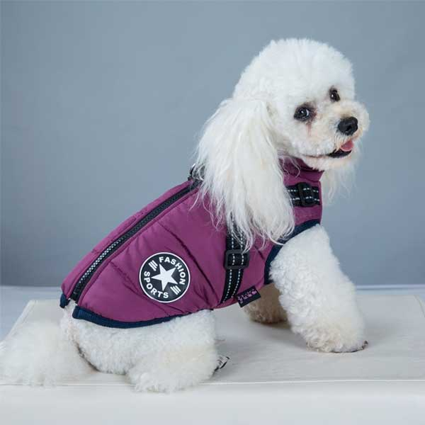 Manteau chien imperméable d'hiver avec harnais intégré