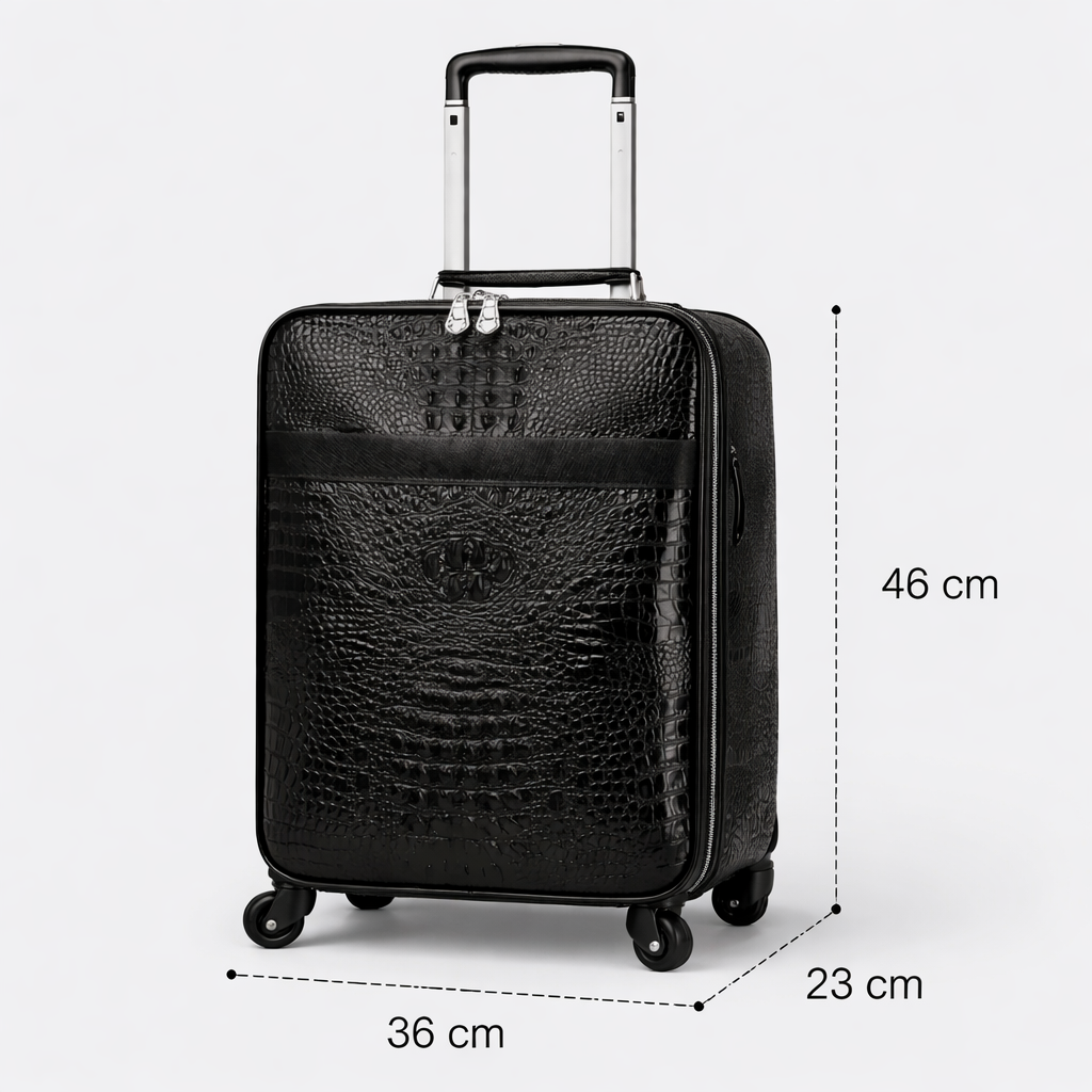 Bagage Voyage Cuir Homme