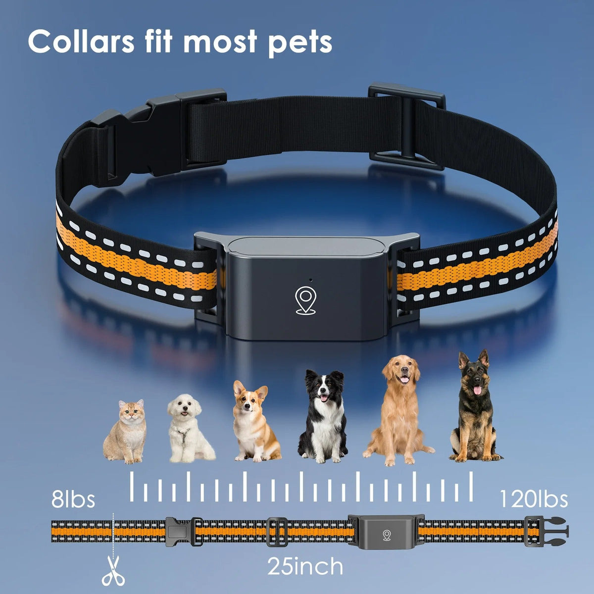 Collier GPS Chien Chat - Portée Illimitée, Suivi Précis