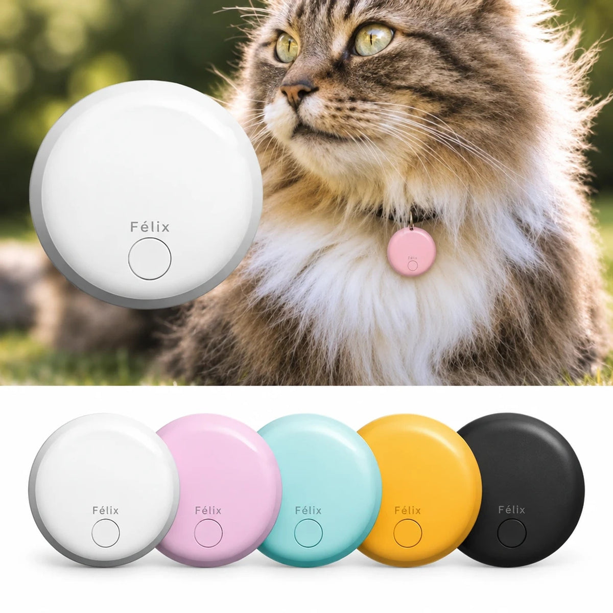 Félix – Traceur GPS Chat