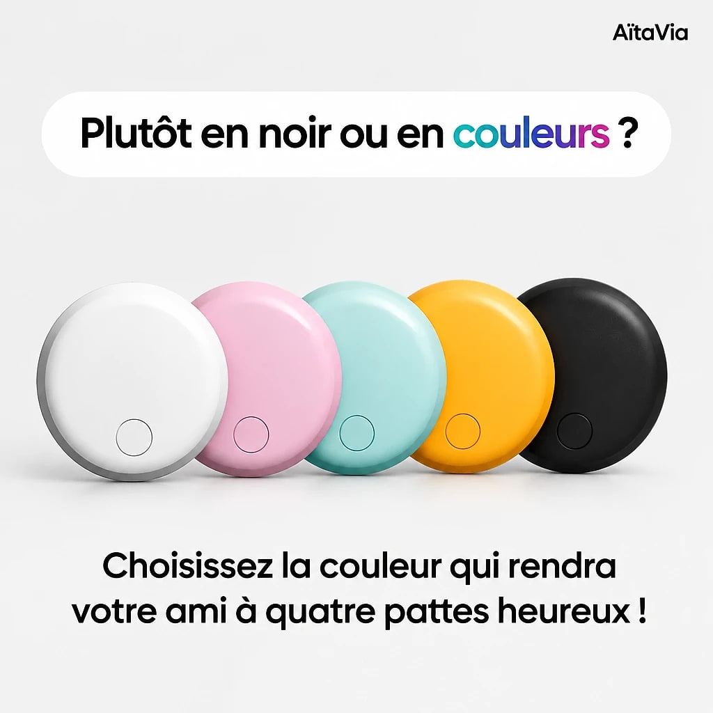 Félix – Traceur GPS Chat
