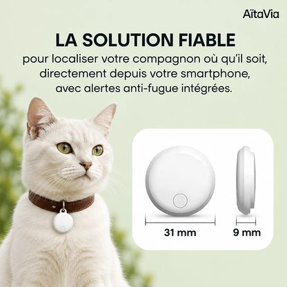 Félix – Traceur GPS Chat