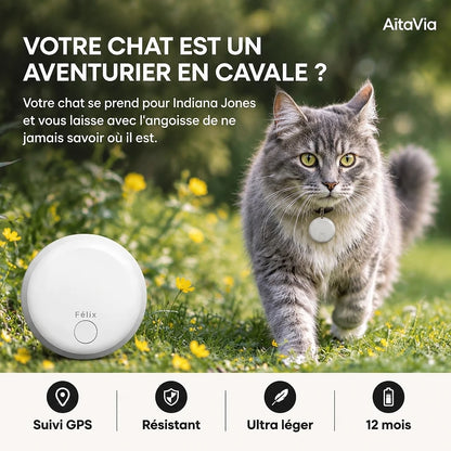 Félix – Traceur GPS Chat