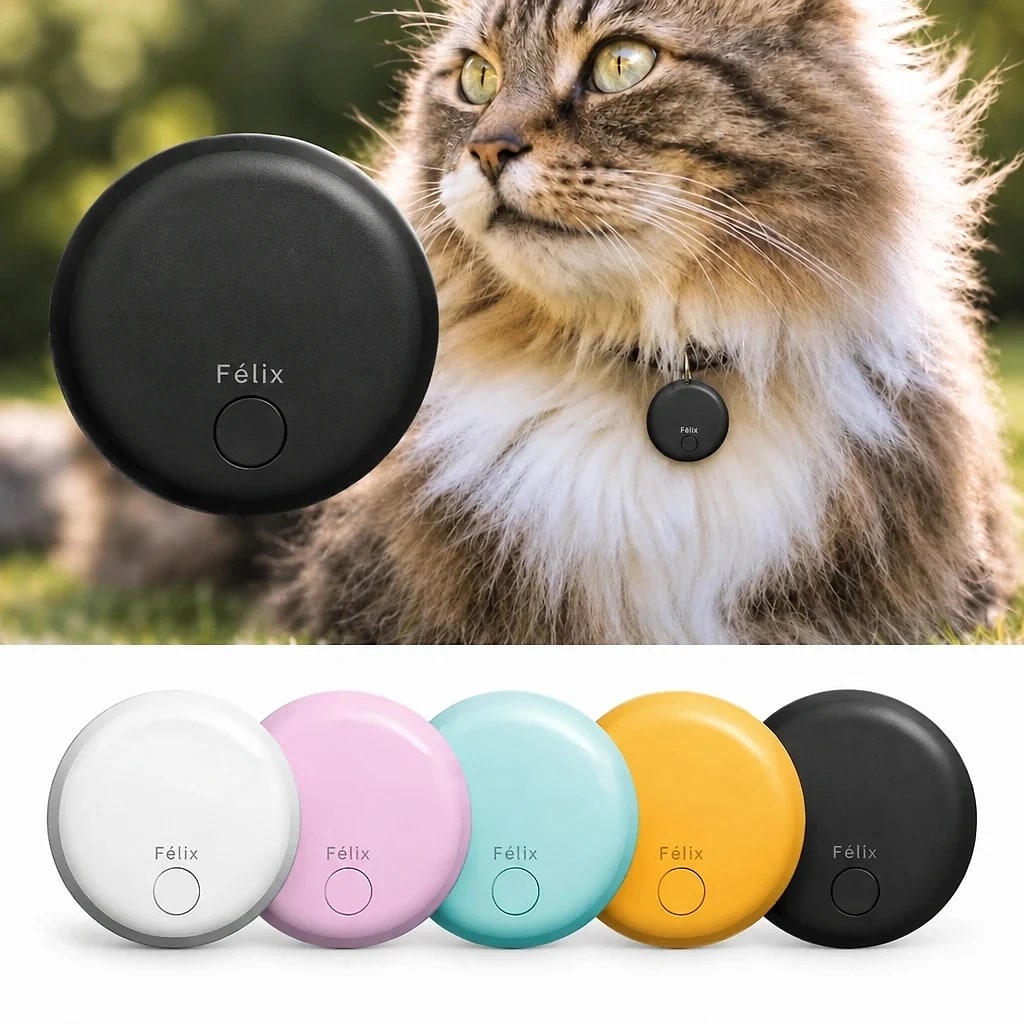 Félix – Traceur GPS Chat