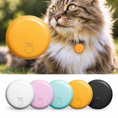 Félix – Traceur GPS Chat