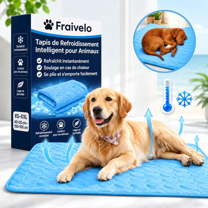 Fraivelo – Tapis Rafraîchissant Chien