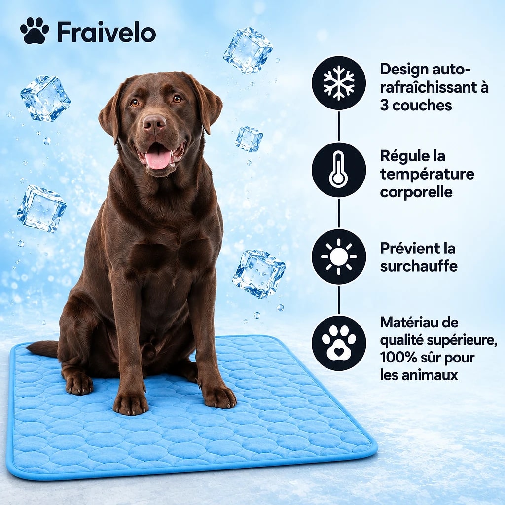 Fraivelo – Tapis Rafraîchissant Chien