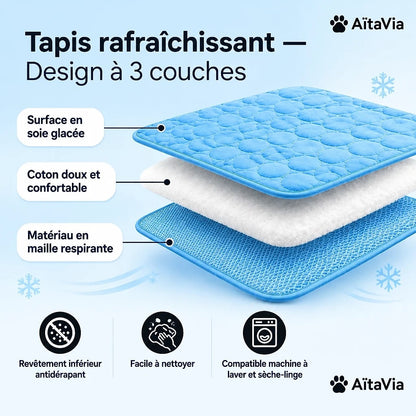 Fraivelo – Tapis Rafraîchissant Chien