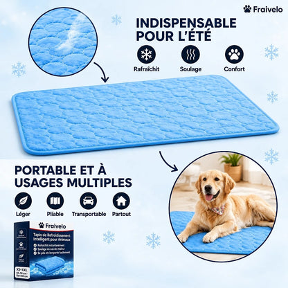 Fraivelo – Tapis Rafraîchissant Chien
