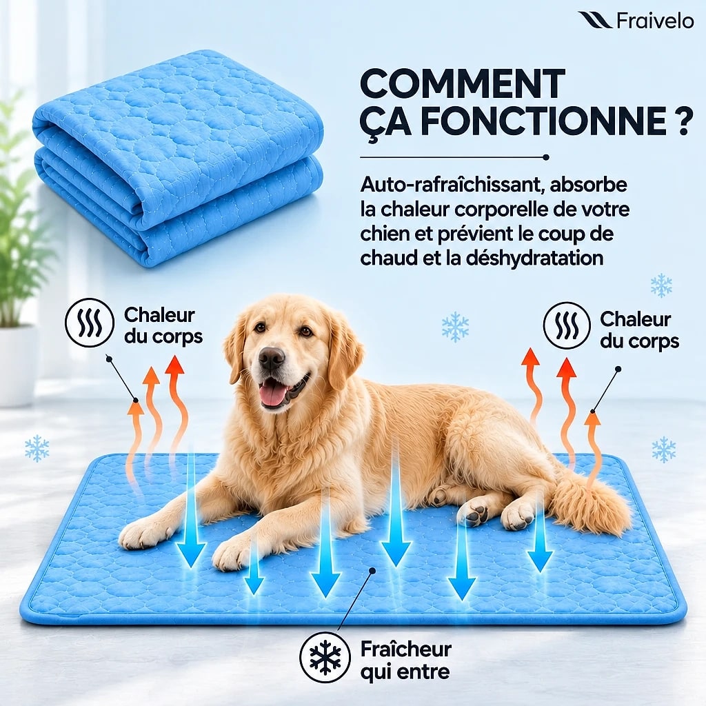 Fraivelo – Tapis Rafraîchissant Chien