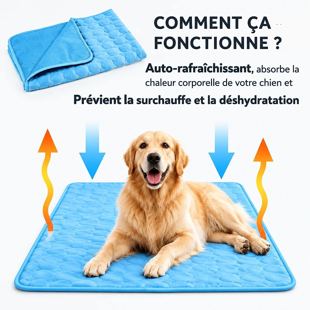 Fraivelo – Tapis Rafraîchissant Chien