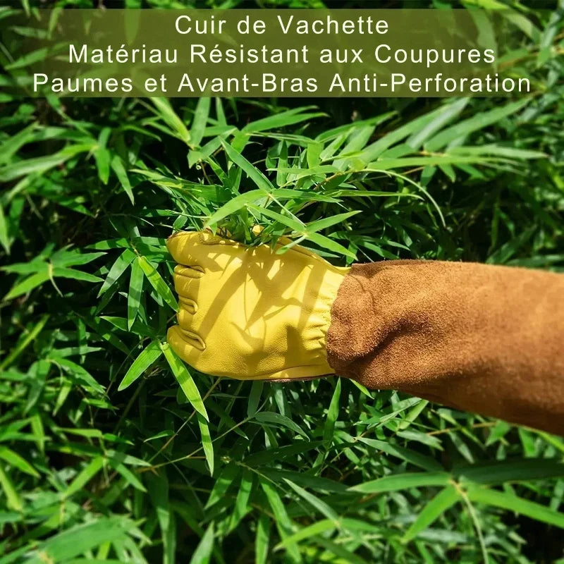 Gants de Jardinage Unisexes en Cuir Anti-Épines – Confort et Protection