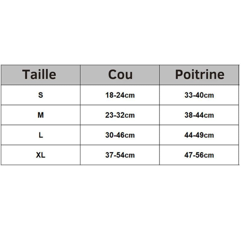Harnais Chat Anti-Fugue - Sécurité & Liberté pour Votre Matou