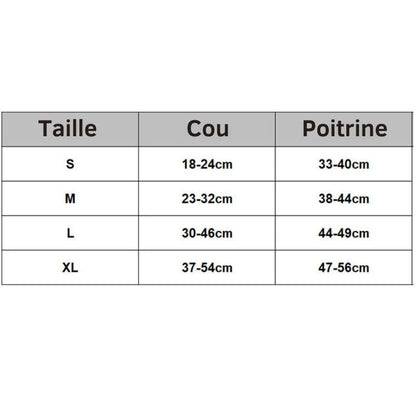 Harnais Chat Anti-Fugue - Sécurité & Liberté pour Votre Matou