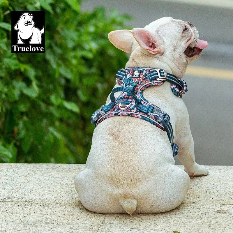 Harnais Chien - Confort, Résistance - XS-XL