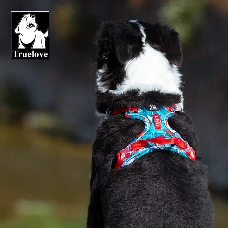 Harnais Chien - Confort, Résistance - XS-XL