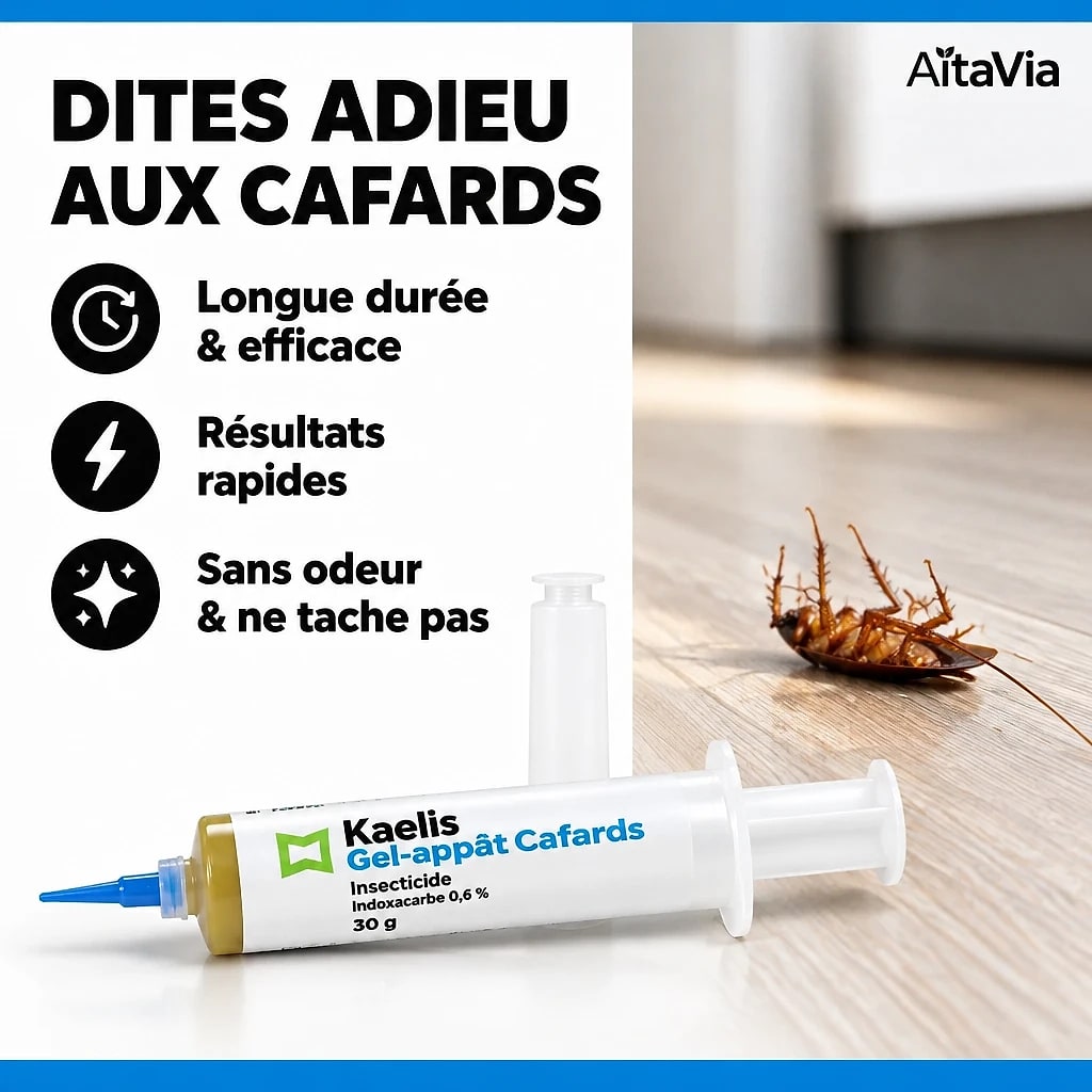 Kaelis – Seringue Gel Anti-Cafards