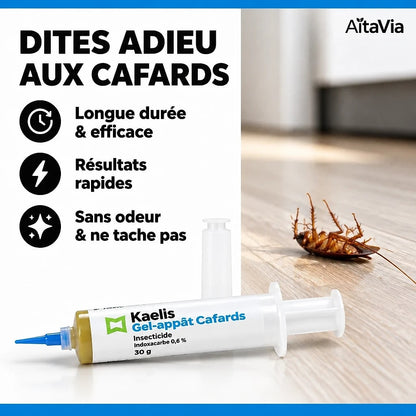 Kaelis – Seringue Gel Anti-Cafards