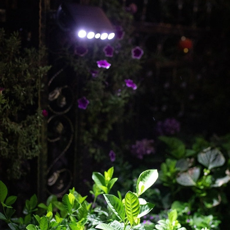 Lampe Solaire Extérieure - Détecteur Mouvement - Puissante