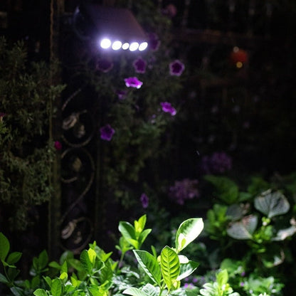 Lampe Solaire Extérieure - Détecteur Mouvement - Puissante