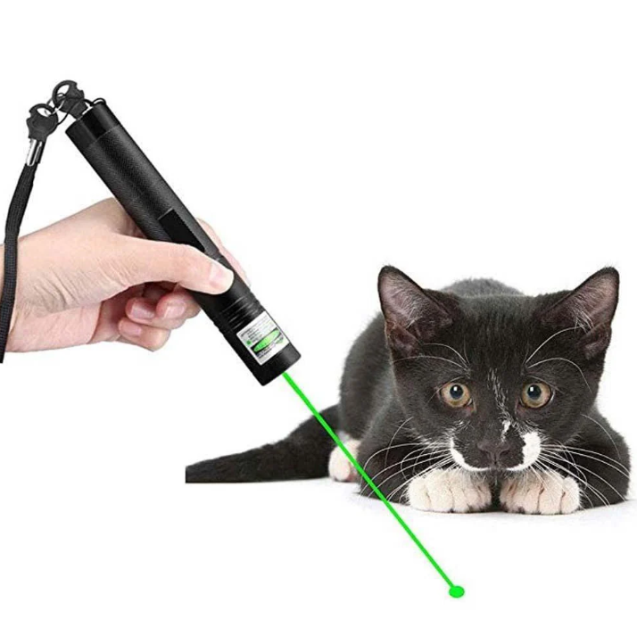 Pointeur Laser Vert Puissant - Haute Précision et Portable