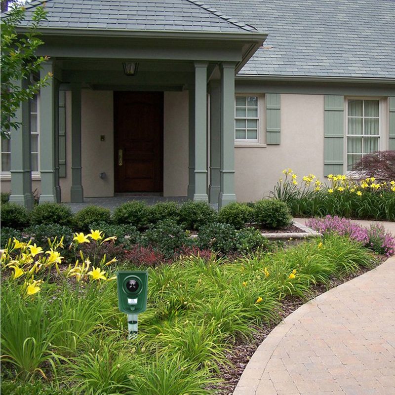 Répulsif Chats Extérieur - Ultrasons - Jardin Protégé