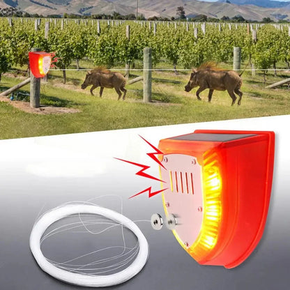 Répulsif Solaire Animaux - Détecteur Mouvement - Sécurité Extérieure