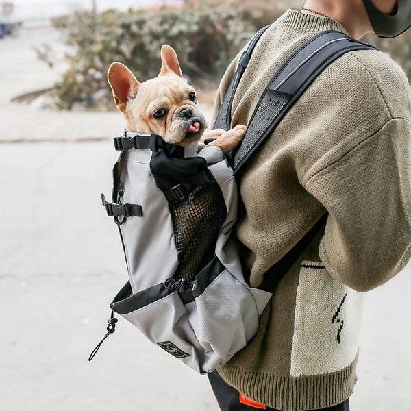 Sac à dos Chien - Transport Animal - Confort & Sécurité
