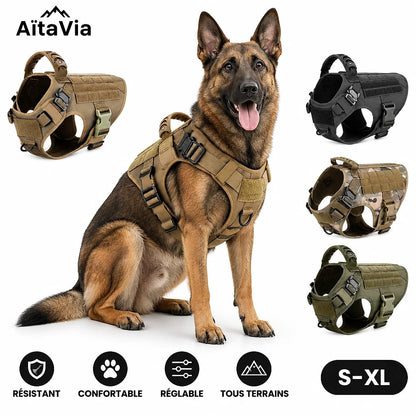 Taktis – Harnais Tactique Chien K9