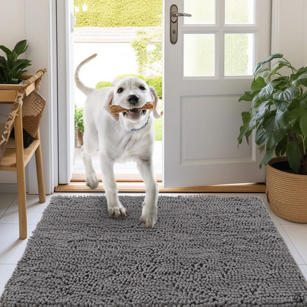 Tapis ultra-absorbant pour chien : lavable et antidérapant