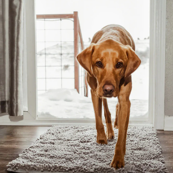 Tapis ultra-absorbant pour chien : lavable et antidérapant