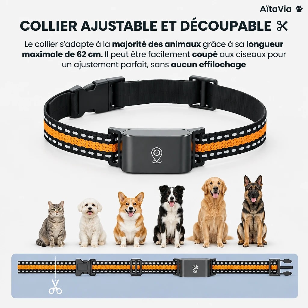 Tracvéo – Collier GPS Sans Abonnement