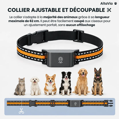 Tracvéo – Collier GPS Sans Abonnement