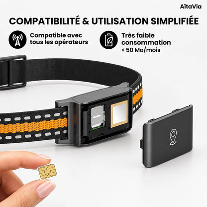Tracvéo – Collier GPS Sans Abonnement