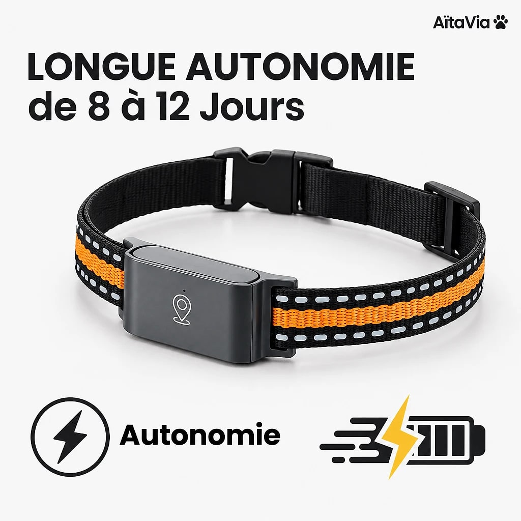 Tracvéo – Collier GPS Sans Abonnement